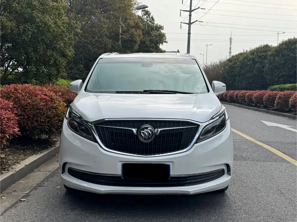 Buick GL8 2018 ES 28T luxury model National VI купить на сайте DeffCars