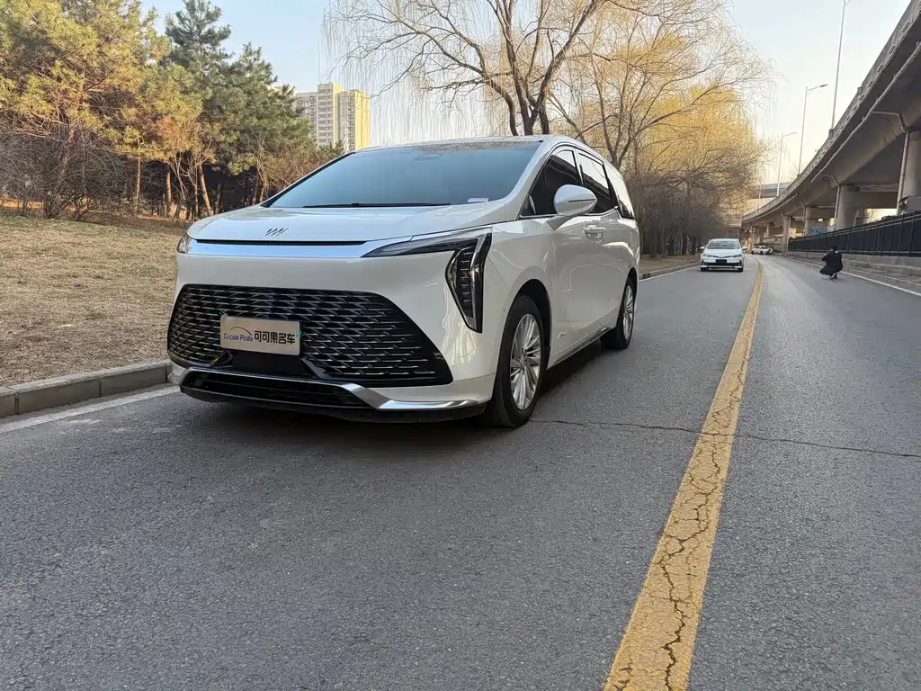 Century 2023 2.0T Six-seater Yuanshi Edition купить на сайте DeffCars