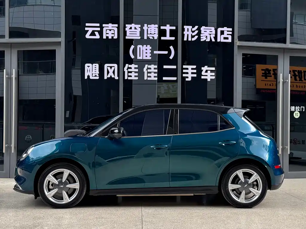 Euler Good Cat 2022 model 400km standard battery life premium type ternary lithium купить на сайте DeffCars