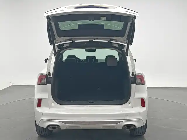 Ruiji 2020 EcoBoost 245 two-wheel drive smart model купить на сайте DeffCars