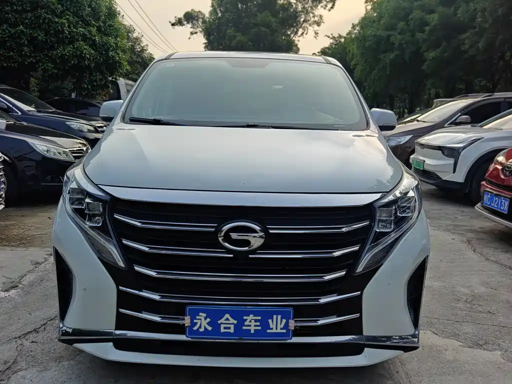 Trumpchi M8 2023 Lead Show Series 390T Exclusive Edition купить на сайте DeffCars