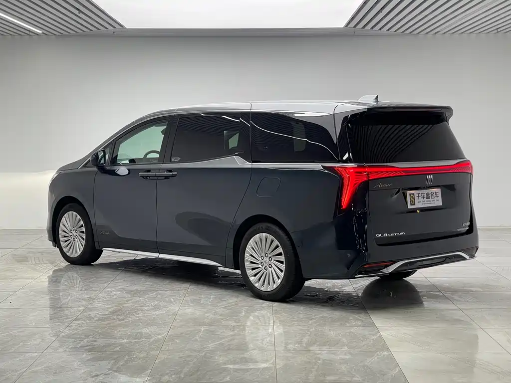 Century 2023 2.0T four-seater private version купить на сайте DeffCars