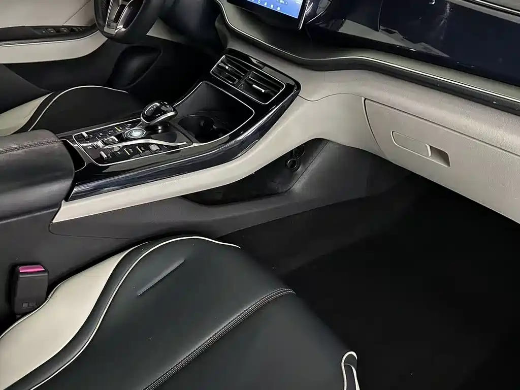 Qin PLUS 2021 EV 500KM luxury model купить на сайте DeffCars