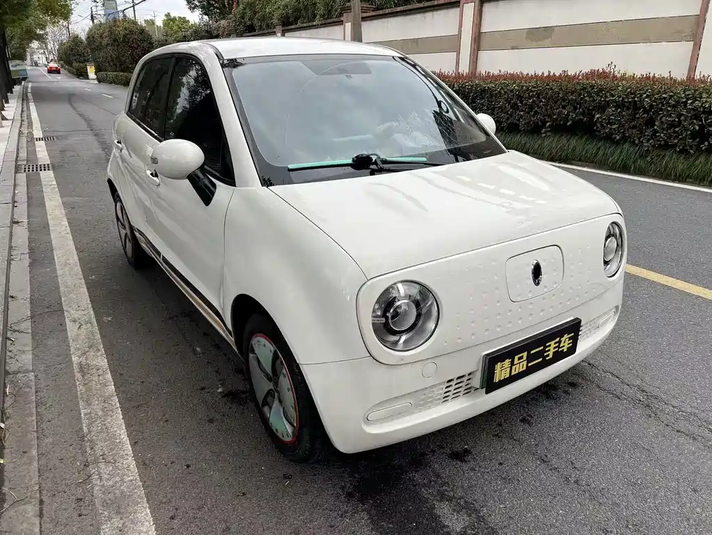 Euler Black Cat 2021 301km basic model купить на сайте DeffCars