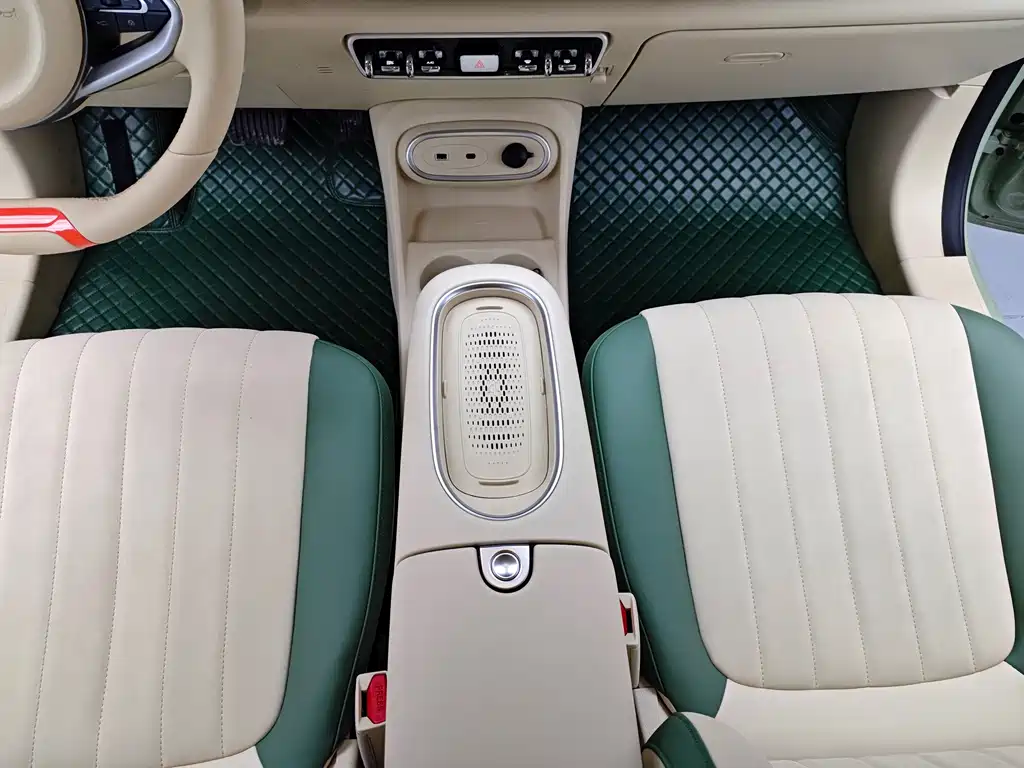 Euler Good Cat 2023 model 401km standard battery life luxury model lithium iron phosphate купить на сайте DeffCars