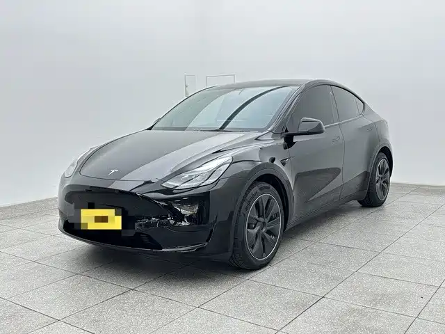 Model Y 2022款 改款 后轮驱动版 купить на сайте DeffCars