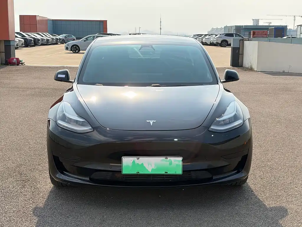 Model 3 2019款 标准续航后驱升级版 купить на сайте DeffCars