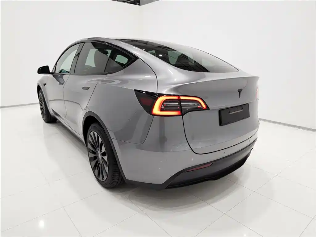 Model Y 2021 standard range rear-wheel drive version купить на сайте DeffCars