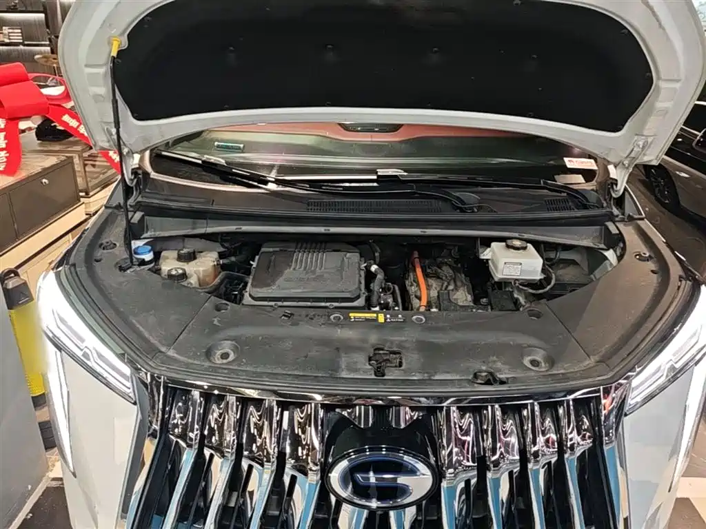 Trumpchi M8 2023 Grandmaster Series Dual Engine Royal Edition купить на сайте DeffCars