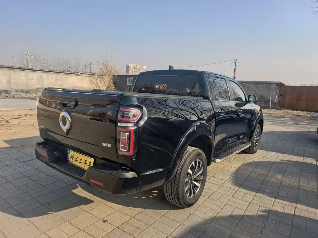 Cannon 2023 2.0T passenger version automatic gasoline four-wheel drive comfort model GW4C20B купить на сайте DeffCars