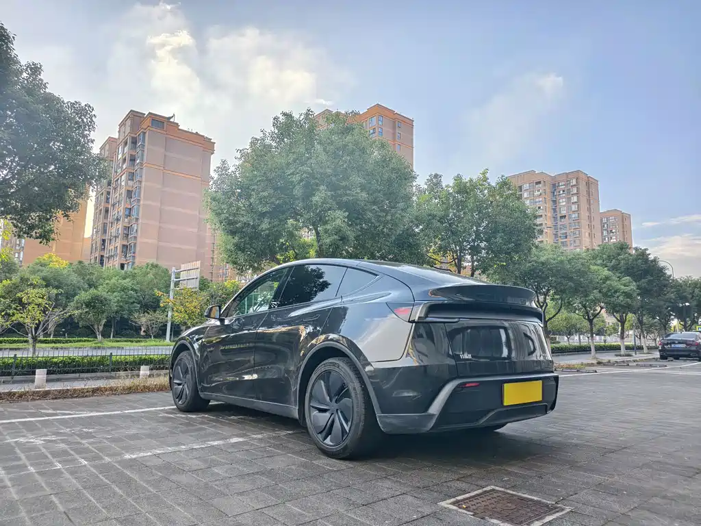 Model Y 2025 rear-wheel drive version купить на сайте DeffCars