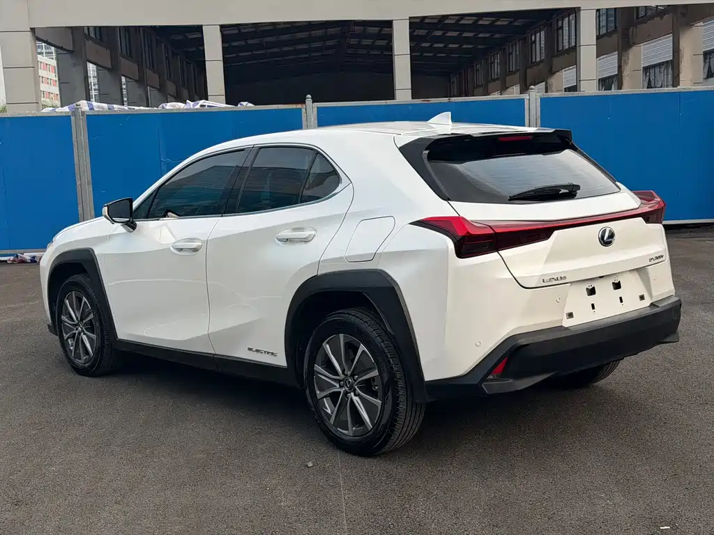 Lexus UX New Energy 2020 300e Pure Joy Edition купить на сайте DeffCars