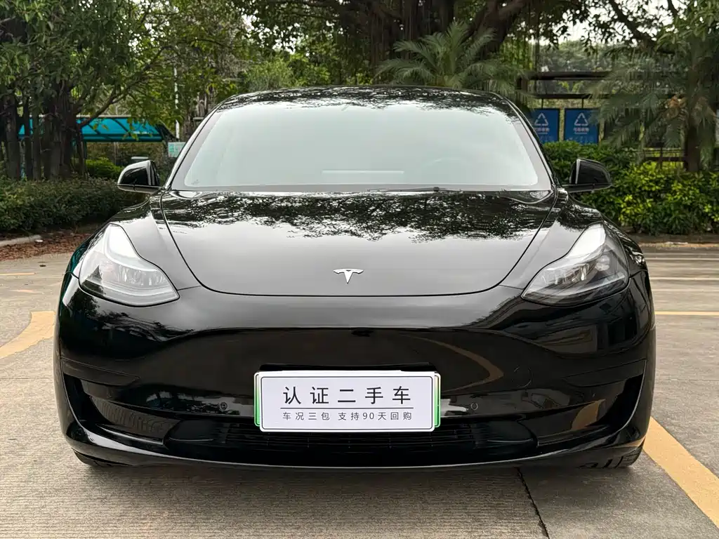Model 3 2022 rear-wheel drive version купить на сайте DeffCars