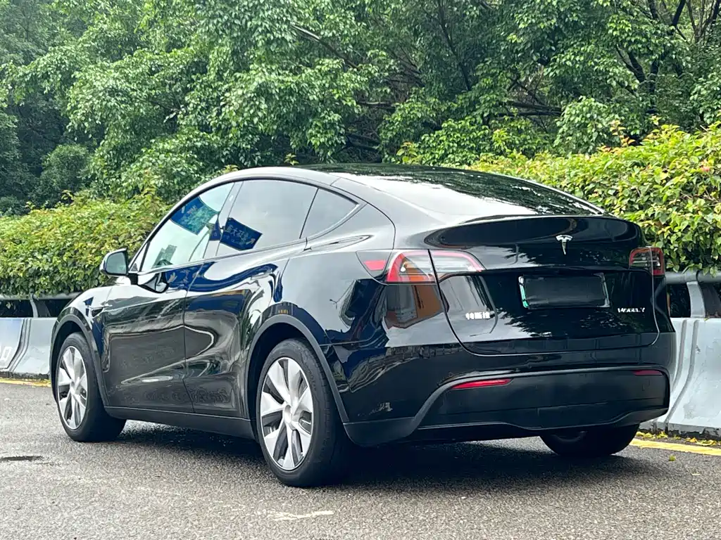 Model Y 2022 modified rear-wheel drive version купить на сайте DeffCars