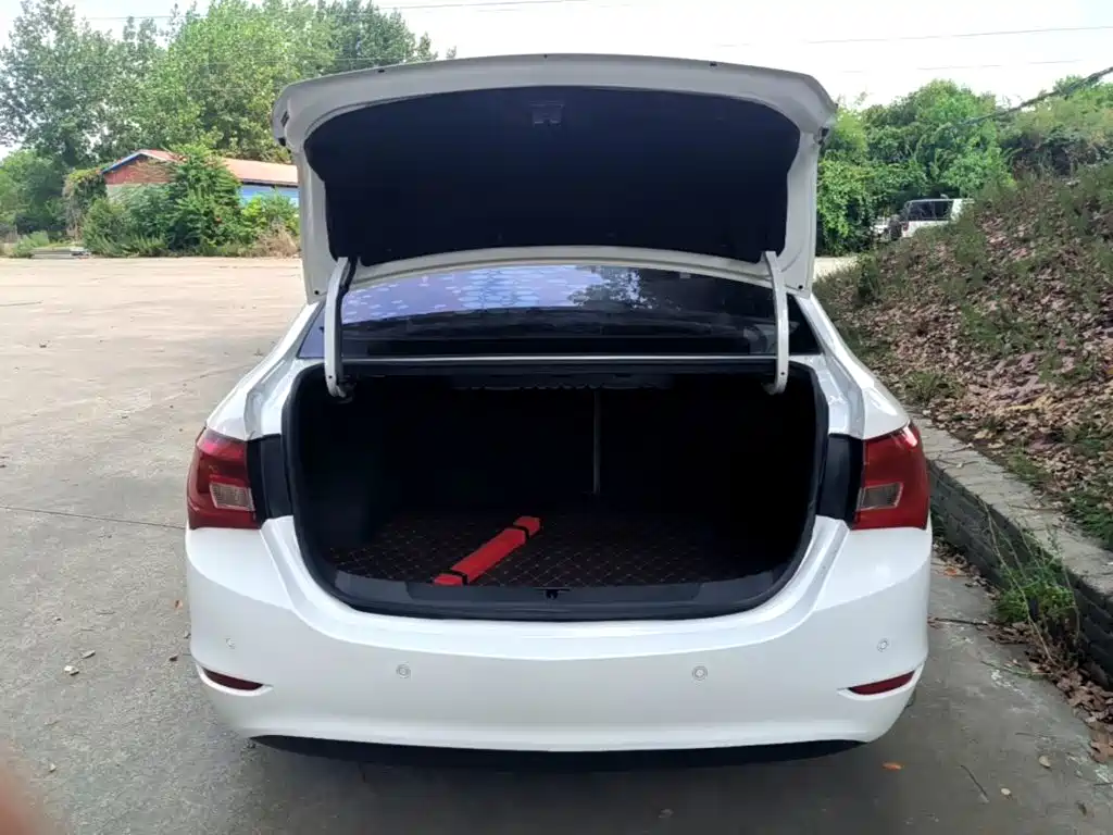 Yinglang 2016 15N automatic elite type купить на сайте DeffCars