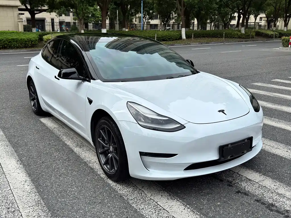 Model 3 imported 2019 standard range rear drive upgraded version купить на сайте DeffCars