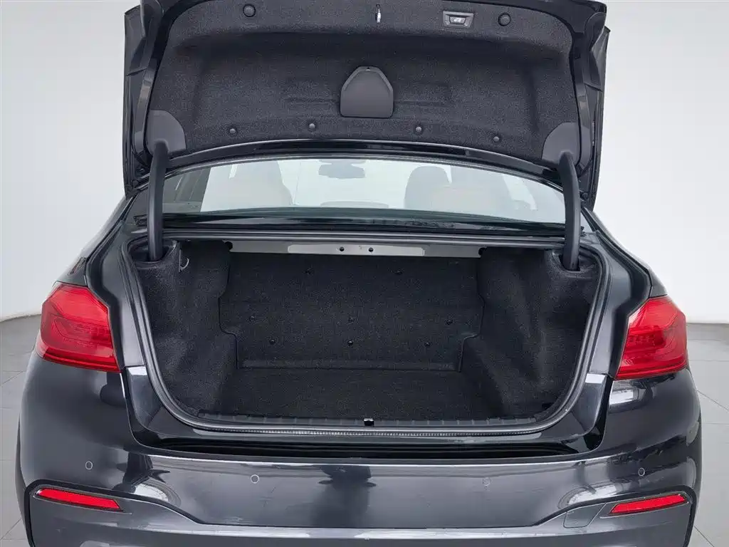 BMW 5 Series 2019 530Li Leading M Sports Package купить на сайте DeffCars