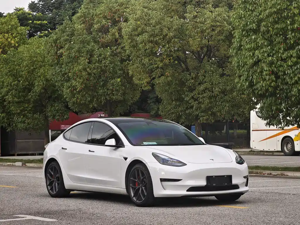 Model 3 2022 rear-wheel drive version купить на сайте DeffCars