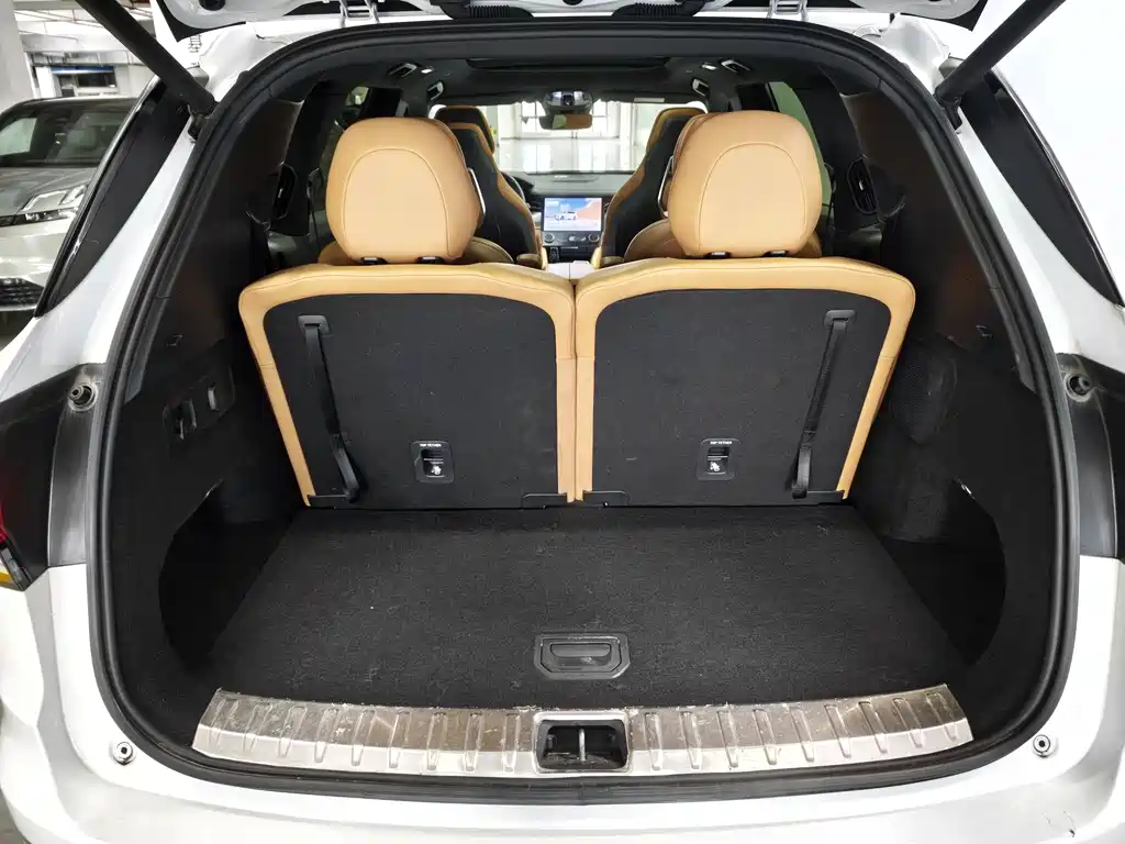 Lynk & Co 09 EM-P 2023 2.0TD EM-P Long Range Edition PM six seats купить на сайте DeffCars