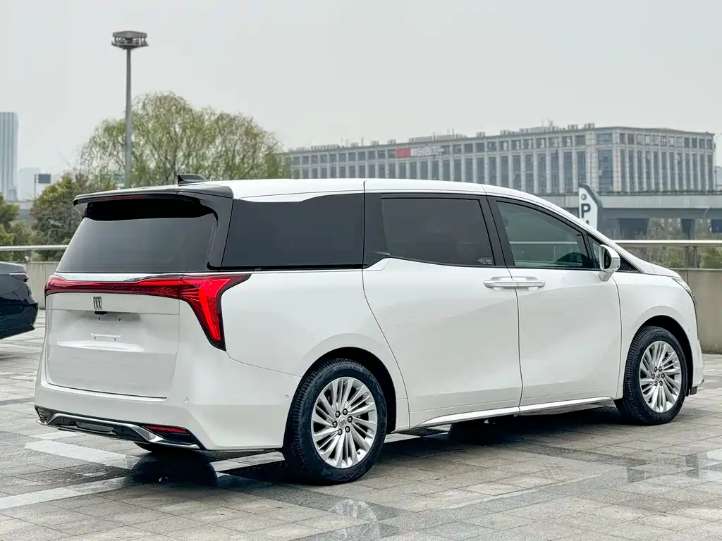 Century 2025 2.0T seven-seat Yuanshi Edition купить на сайте DeffCars