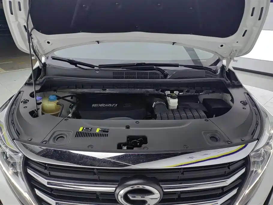 Trumpchi M8 2021 Lead Show Series 390T Exclusive Edition купить на сайте DeffCars