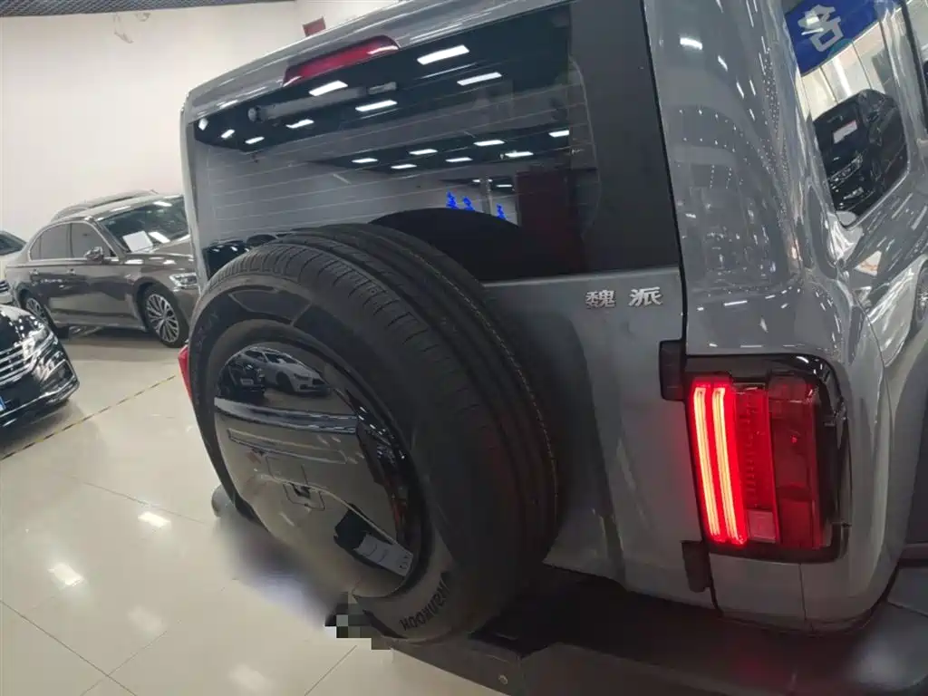 Tank 300 2021 Off-Road Version 2.0T Conqueror купить на сайте DeffCars