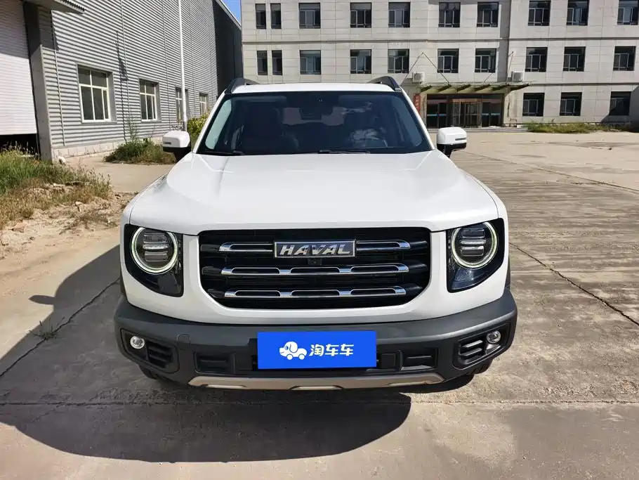 Havaldog 2022 1.5T DCT two-wheel drive Labrador version купить на сайте DeffCars