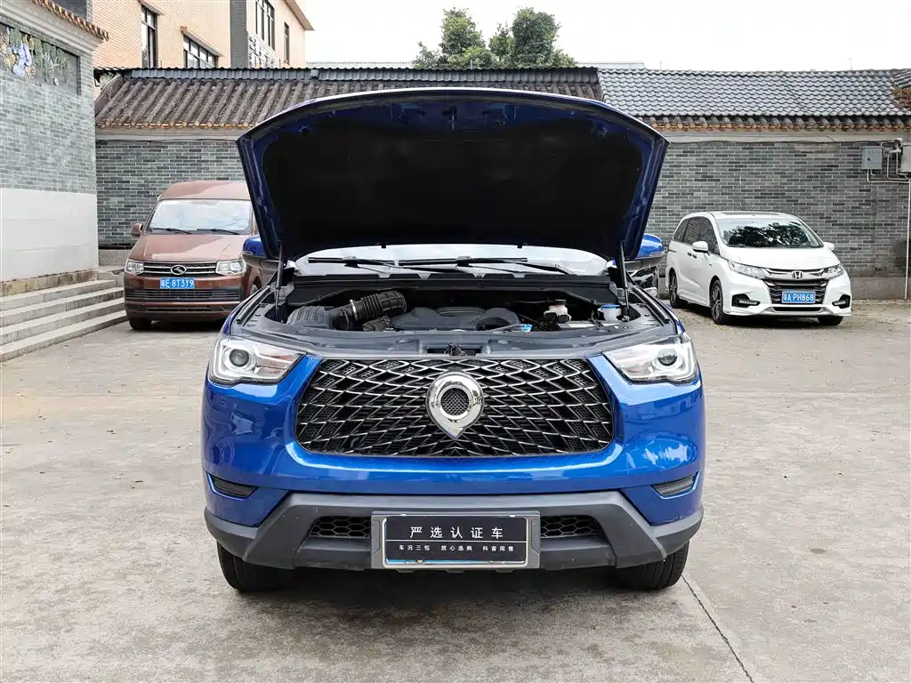 Cannon 2021 2.0T commercial version automatic diesel two-wheel drive elite long box GW4D20M купить на сайте DeffCars