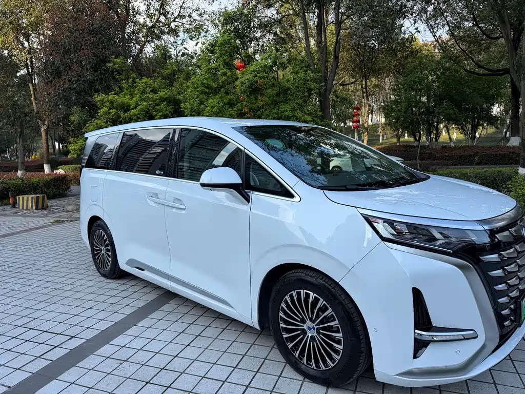 Denza D9 2022 DM-i 970 four-wheel drive flagship model купить на сайте DeffCars