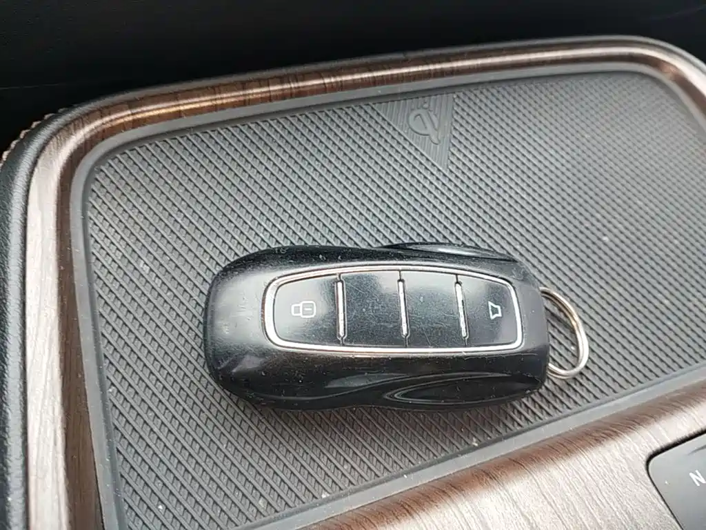 Lingyu 2021 EcoBoost 225 Collar Type PLUS 6-seater купить на сайте DeffCars