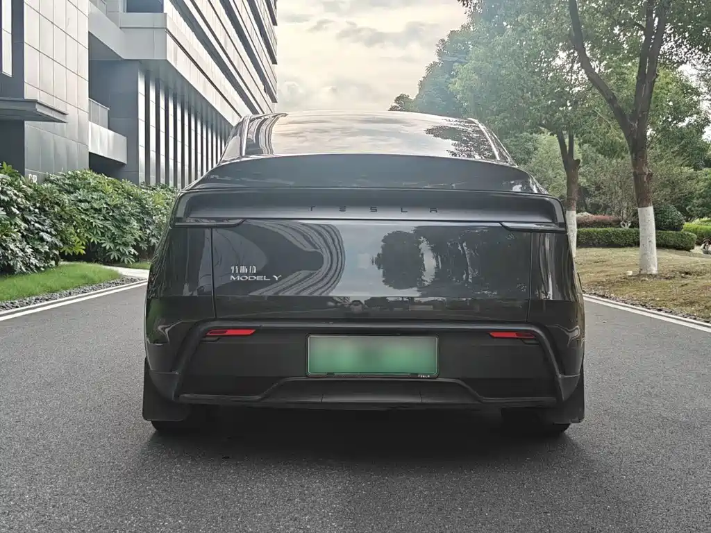 Model Y 2025 rear-wheel drive version купить на сайте DeffCars