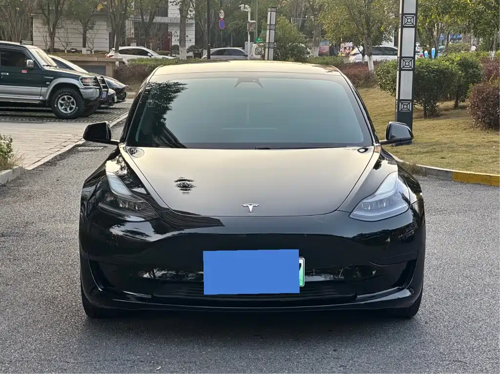 Model 3 2021 facelift standard range rear drive upgraded version 3D1 купить на сайте DeffCars