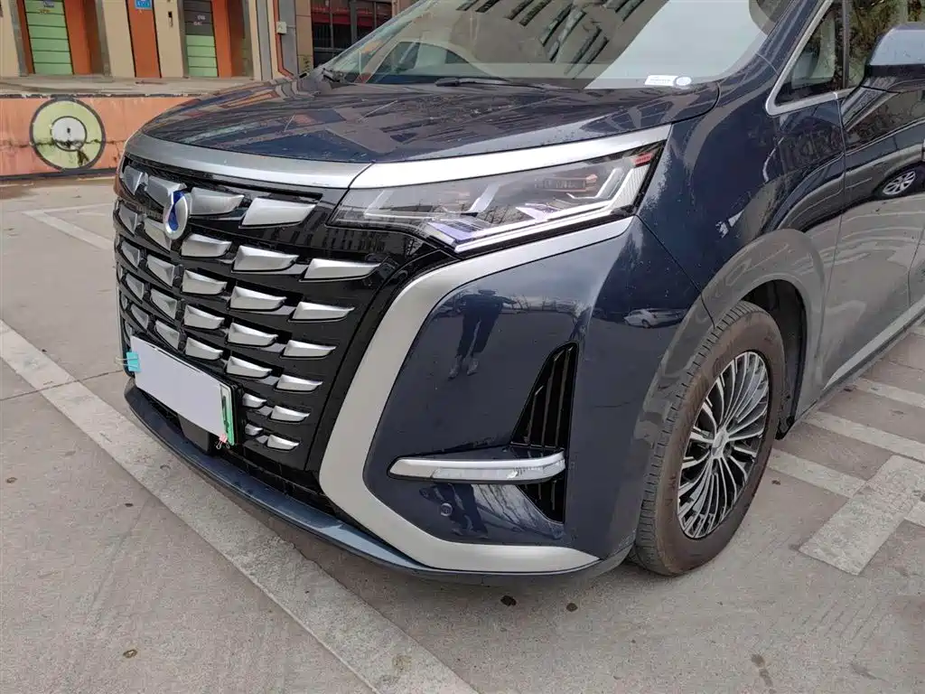 Denza D9 2022 DM-i 1040 Premium Type купить на сайте DeffCars