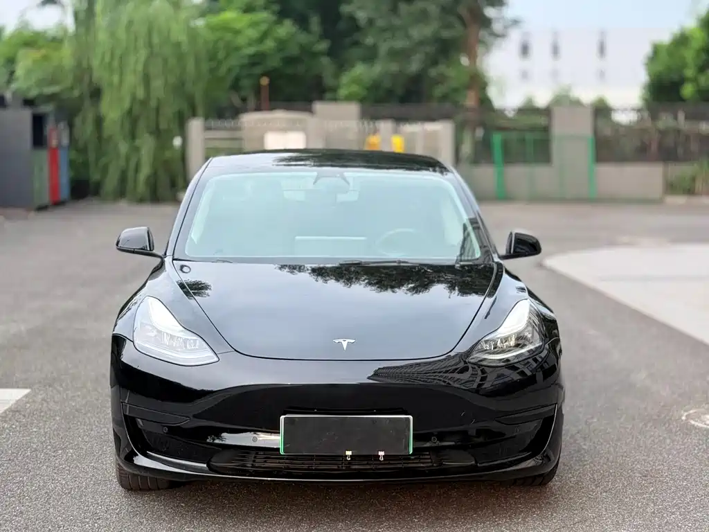 Model 3 2021 Standard Range Rear Drive Upgrade купить на сайте DeffCars