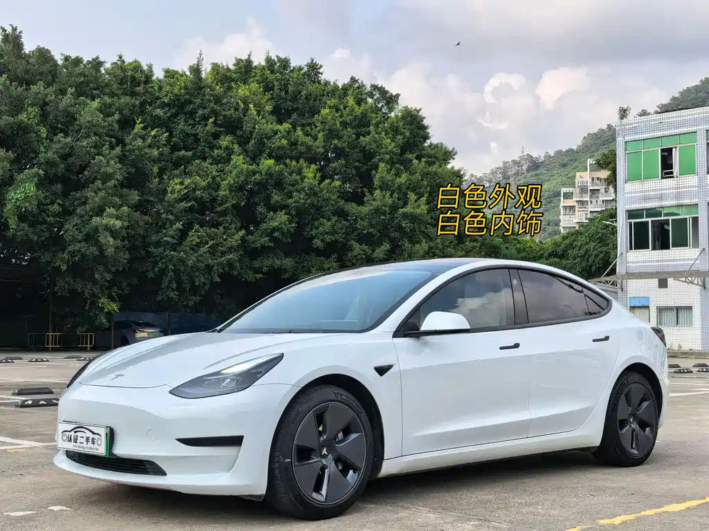 Model 3 2021 standard range rear drive upgraded version 3D6 купить на сайте DeffCars
