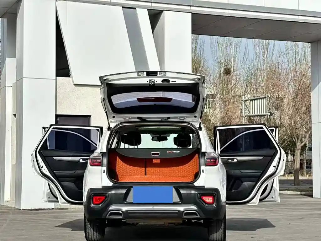 Smart Run 2018 2.0L Automatic Smart Enjoy Deluxe Edition National V купить на сайте DeffCars