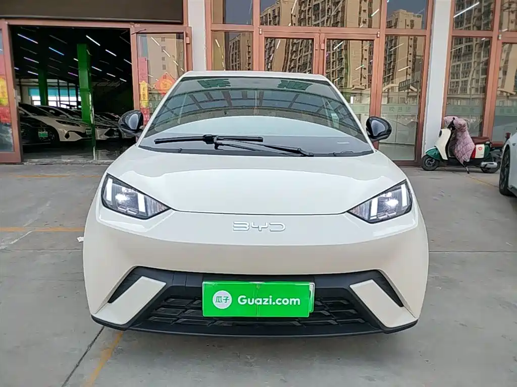 Seagull 2025 305km Free Edition купить на сайте DeffCars