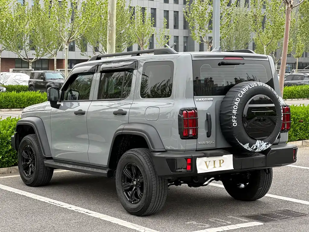 Tank 300 2023 Off-Road Version 2.0T Conqueror купить на сайте DeffCars