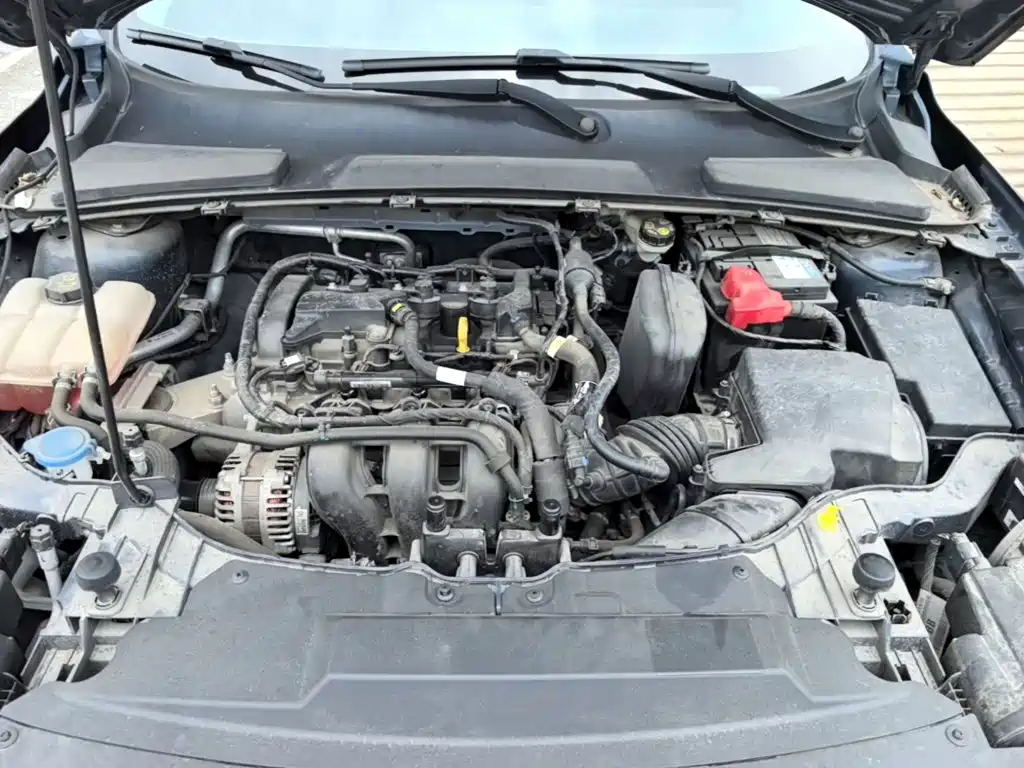 Escort 2021款 1.5L 自动钻石版 купить на сайте DeffCars