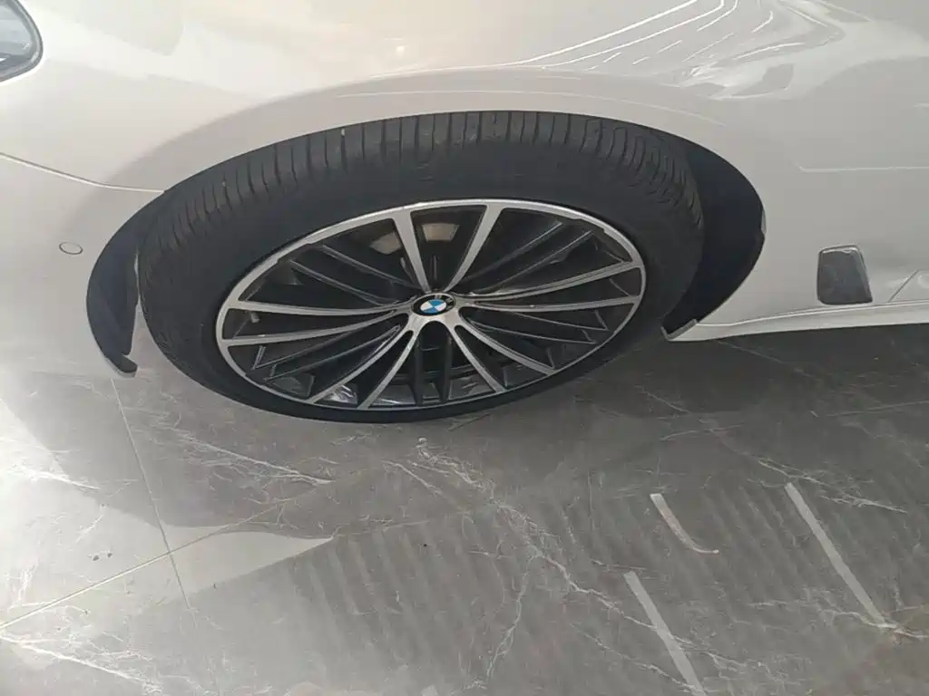 BMW 5 Series 2020 530Li Leading M Sports Package купить на сайте DeffCars