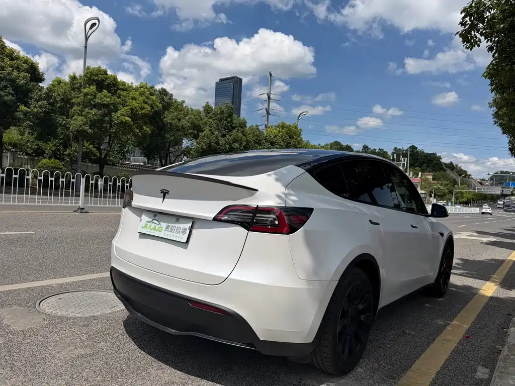 Model Y 2021 standard range rear-wheel drive version купить на сайте DeffCars