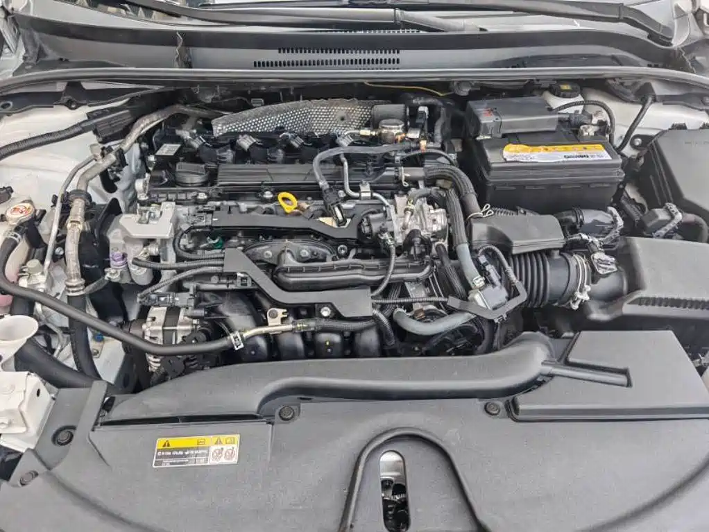 Asia Lion 2023 2.0L Elite Edition купить на сайте DeffCars