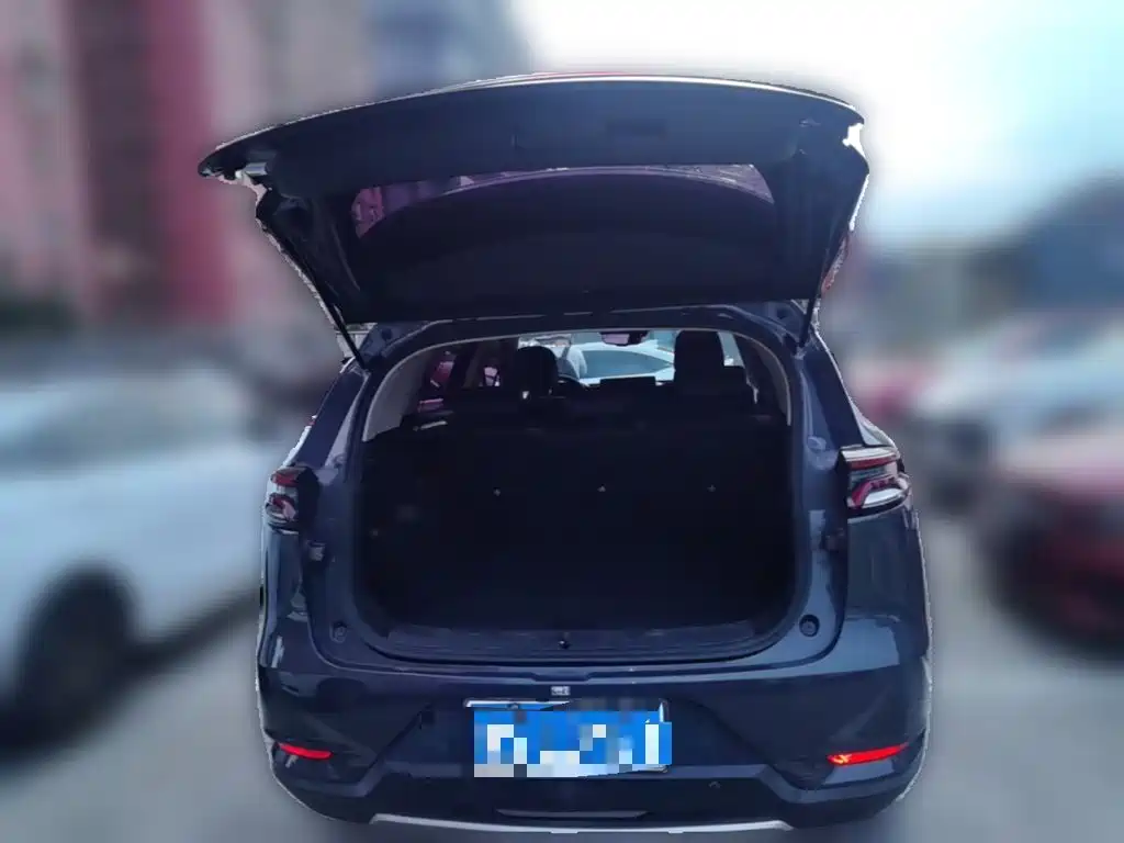 Tang 2019 2.0T automatic smart connection premium model 5 seats National VI купить на сайте DeffCars