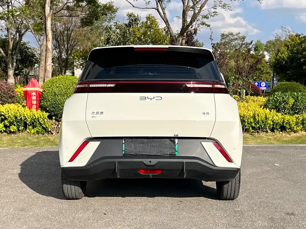 Seagull 2025 model 305km free version купить на сайте DeffCars