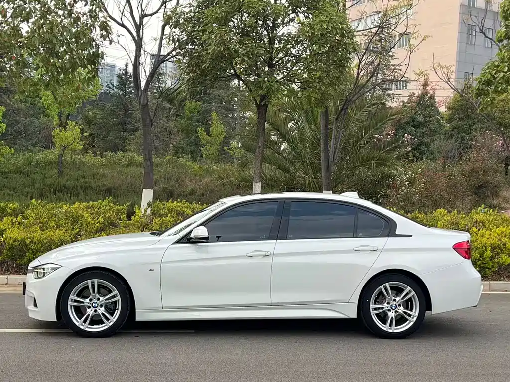 BMW 3 Series 2019 320Li M Luxury Package купить на сайте DeffCars