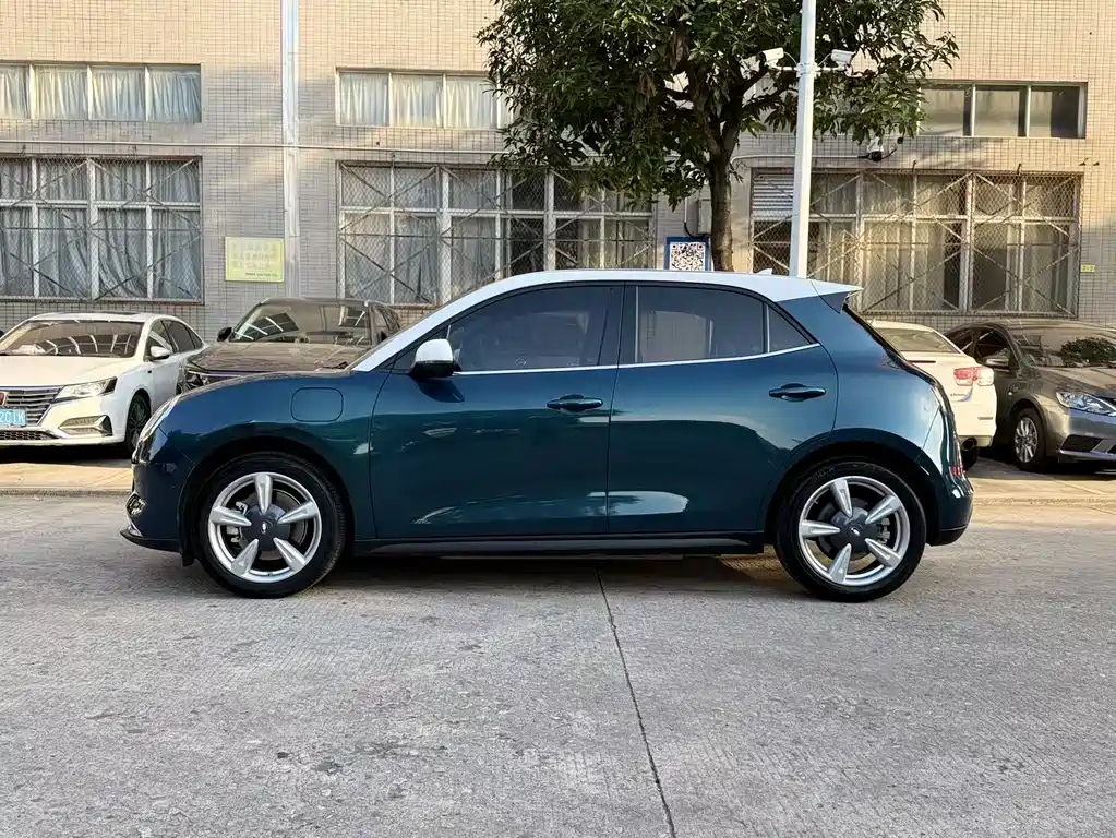 Euler Good Cat 2021 model 400km standard battery life Athena version ternary lithium купить на сайте DeffCars