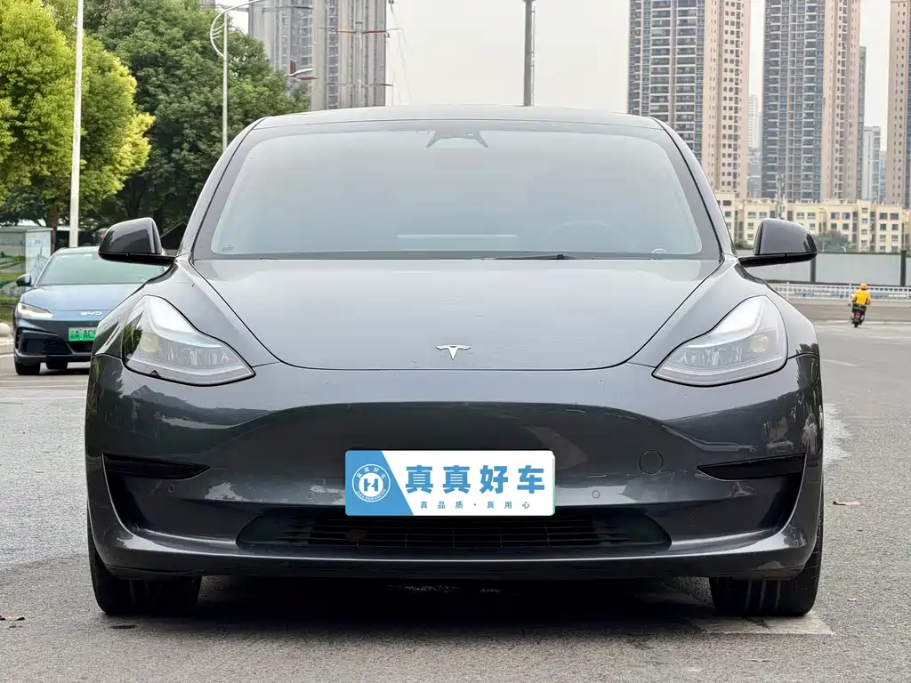 Model 3 2022 rear-wheel drive version купить на сайте DeffCars