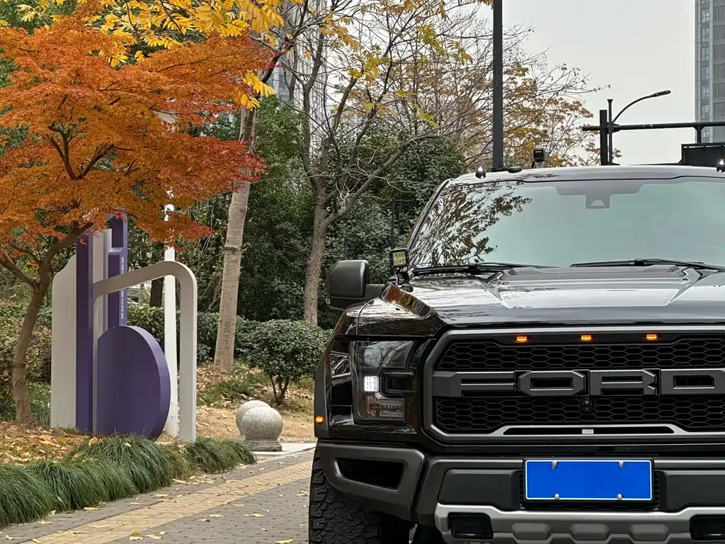Ford F-150 Raptor 2018 3.5T performance enhanced version купить на сайте DeffCars
