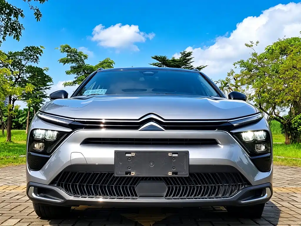 Versailles C5 купить на сайте DeffCars