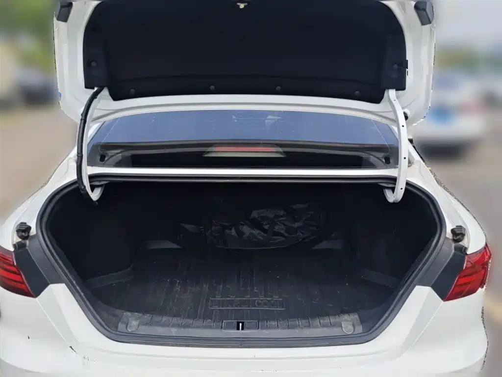Binrui 2020 200T DCT luxury model купить на сайте DeffCars